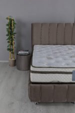 Line Baza Başlık - Görsel 3