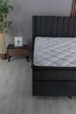 Daphane Baza Başlık - Görsel 2